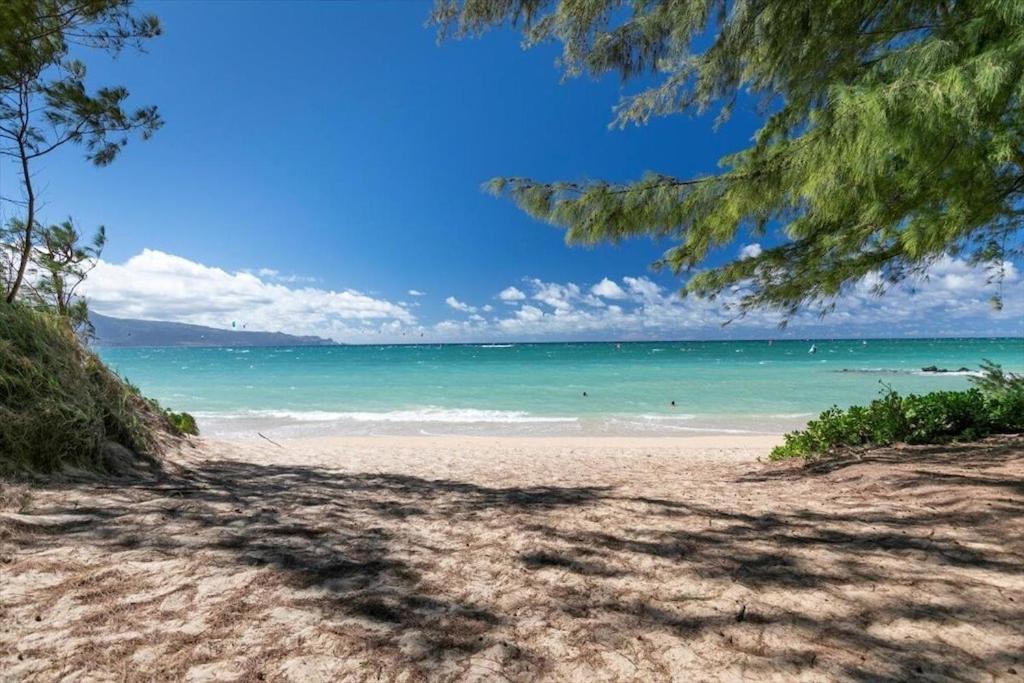Unit 15 Maui Ohana Modern Studio Wailuku المظهر الخارجي الصورة